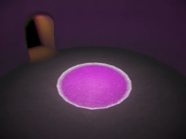 Pink Sea Entrance