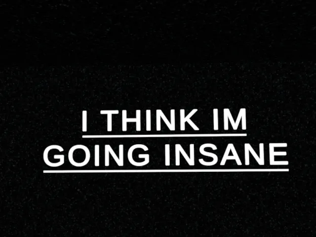 i think im going insane
