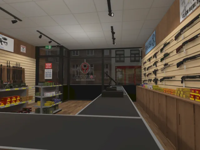 firearm dealer scene