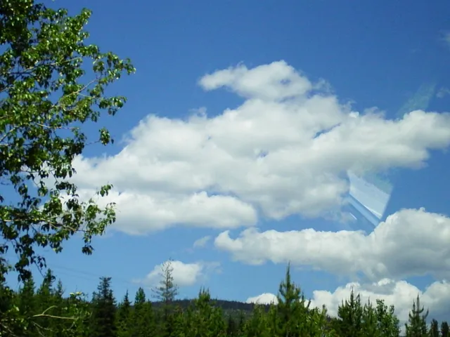 9041_'s secluded cabbin