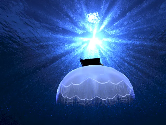 クラゲの上で見る夢