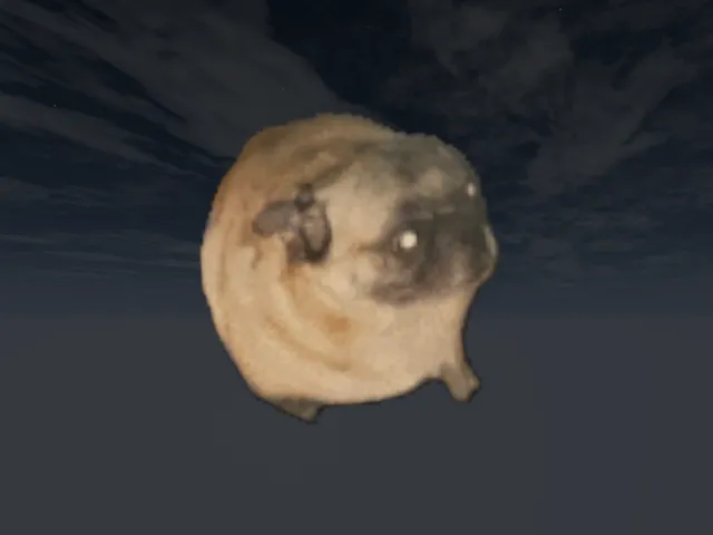 Cry （pug edition）