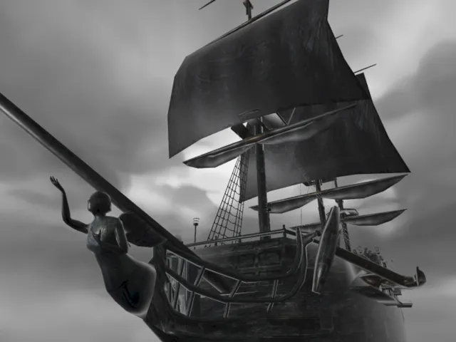He's a pirate