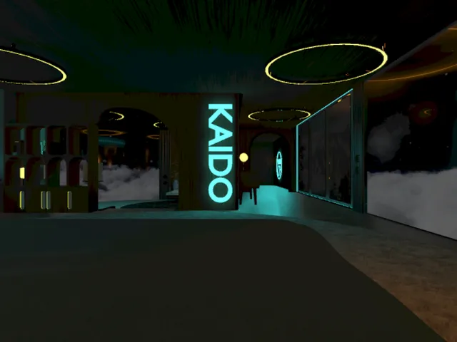 kokosis kaido house