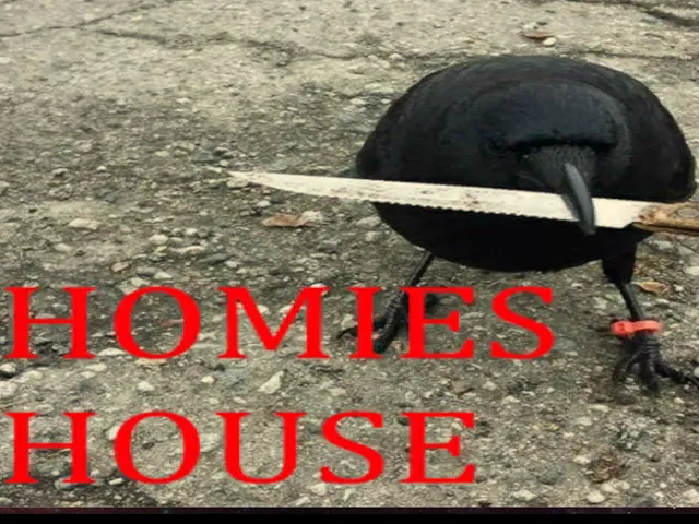 Homie's House Hangout