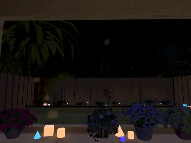 Back Yard Night