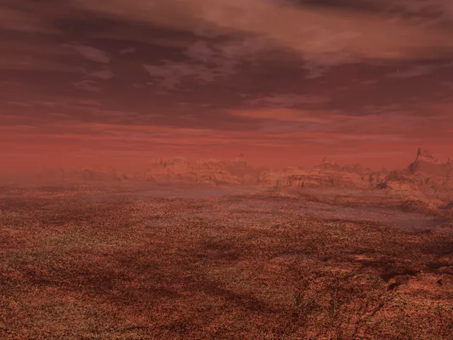 F․O․X․W․O․L․F WAR (wip)