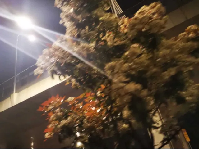 惊蛰的海边小屋