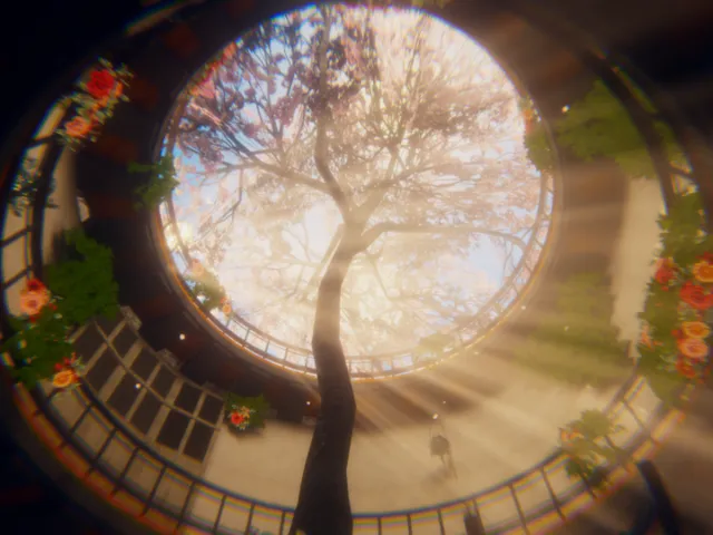 Noon Sakura⁄午樱