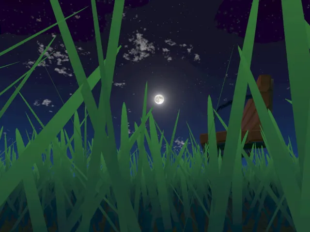 Watch the stars