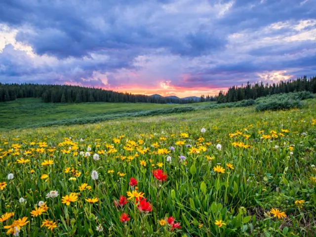 A Peacefull Place 2․1