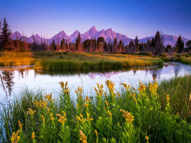 Wyoming Project V 0․3