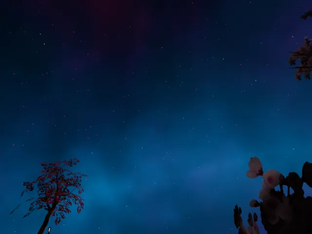 Lonely Starry Night