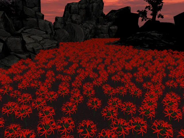 Lycoris Radiata