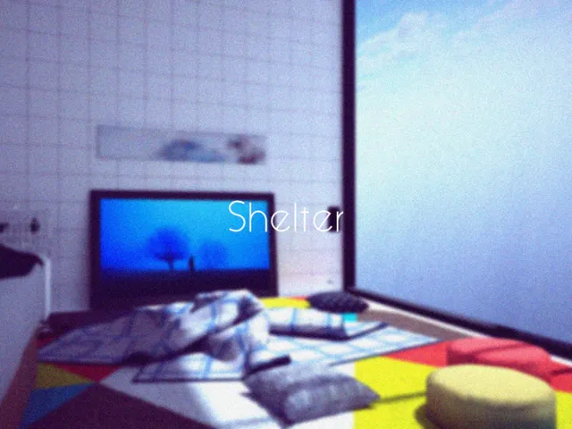 Shelter