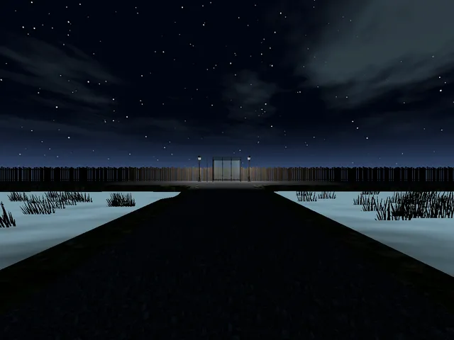 Paddy field with a frog