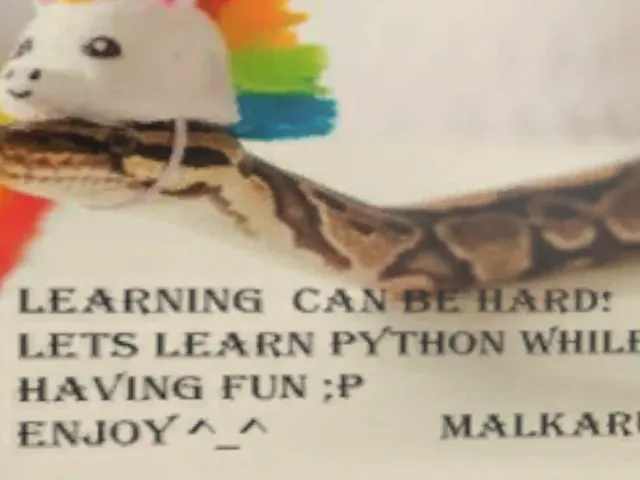 Python