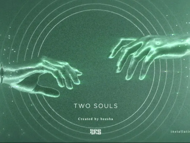 installation_TWO SOULS