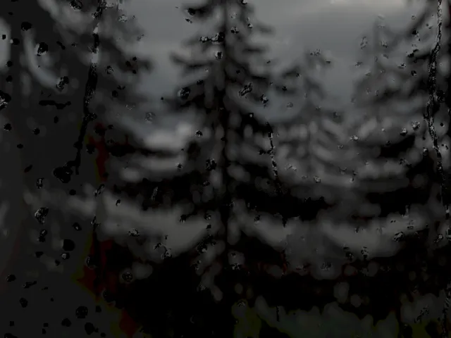 雨中大床房