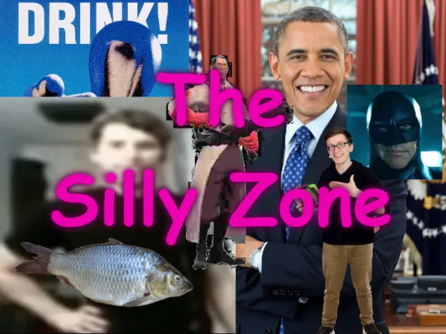 The Silly Zone