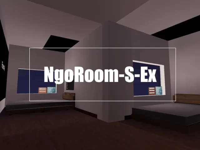 NgoRoom-S-Ex