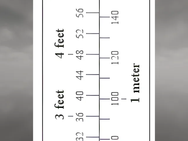 Measure Avatar Height Quest