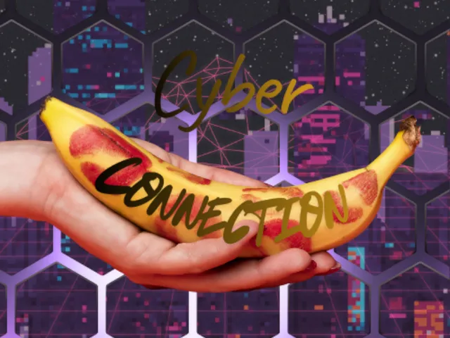 Cyber Connetion