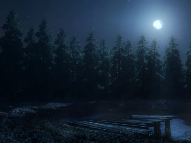 Taiga Forest