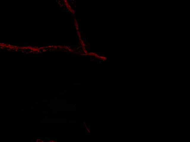 Jerna Cavernam