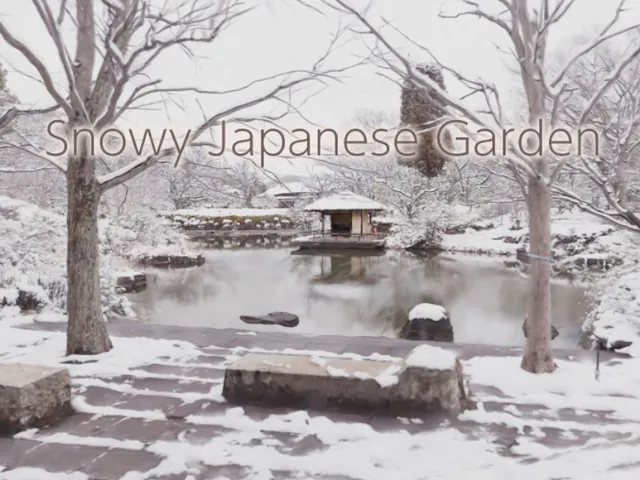 Snowy Japanese Garden