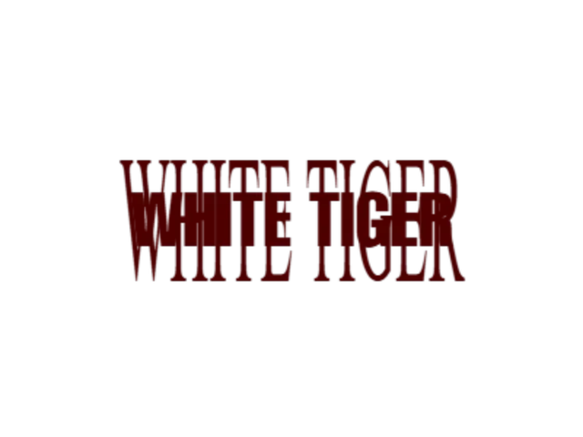 WHITE TIGER AVIS ｜ Rocky