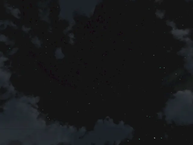 测试区域