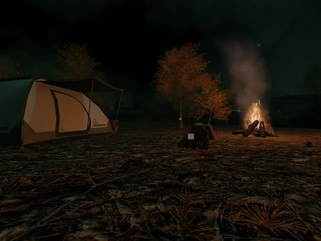 sunny_forest （night）