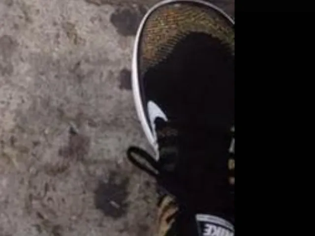 7's shoe