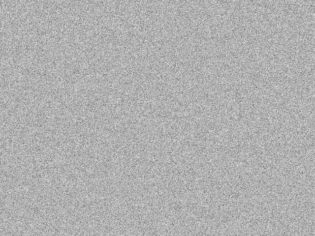 White_Noise