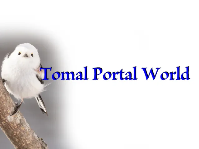 Tomal Portal World