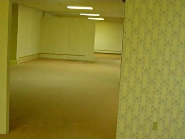 The Backrooms （Wait Room）