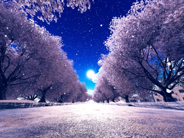 はつゆきとさくら