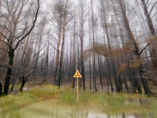 Red Forest （Gaussian Splat）