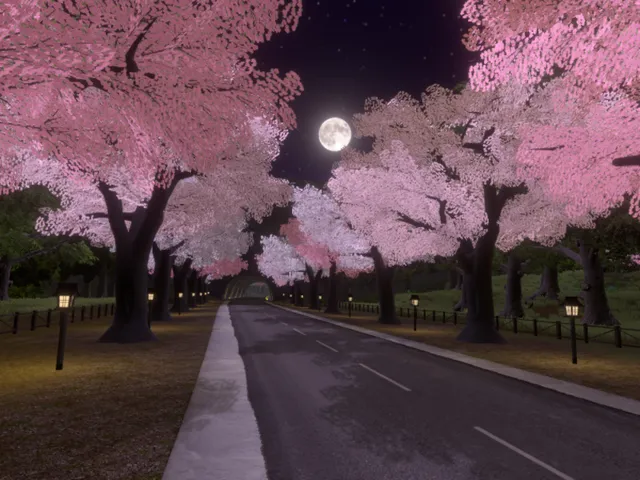 Sakura mountain road （Night） - 桜の道 （夜）