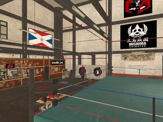 Jays Gym (DOA ⁄ No More Heroes)
