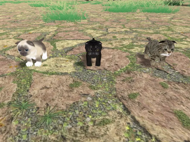 AI Cats
