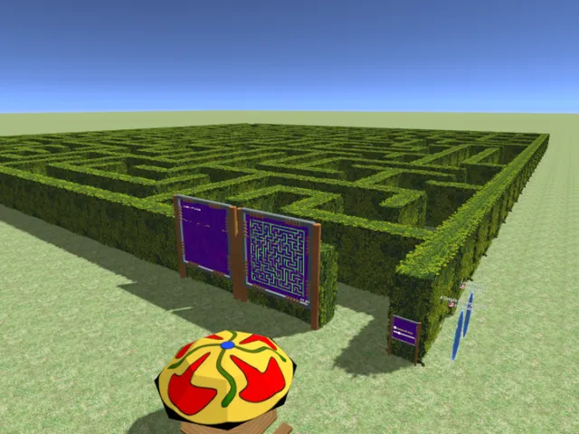 Loons Hedge Maze