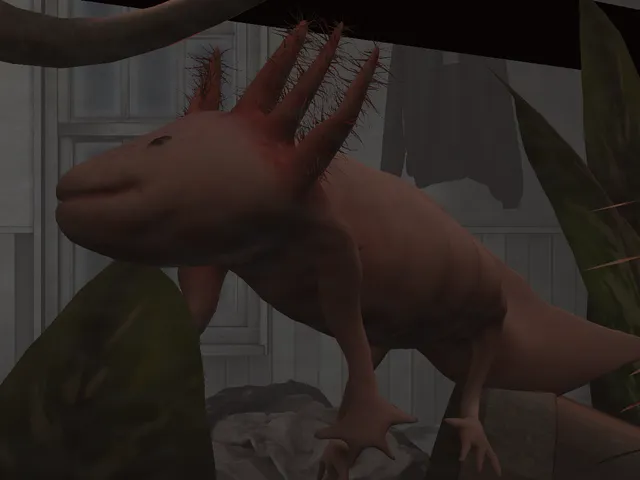 Axolotl Home