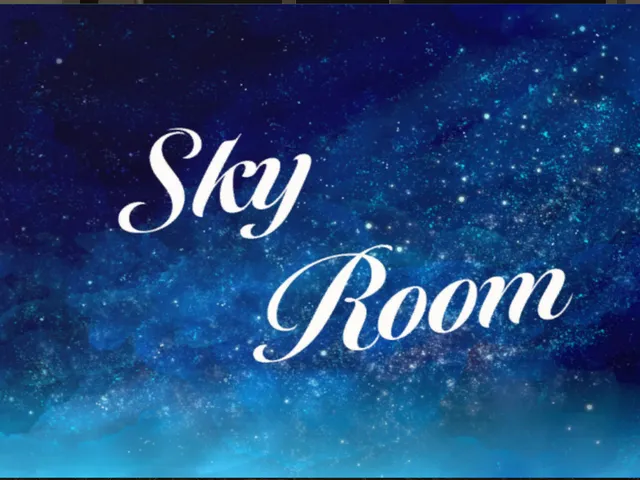 SkyRoom Sample