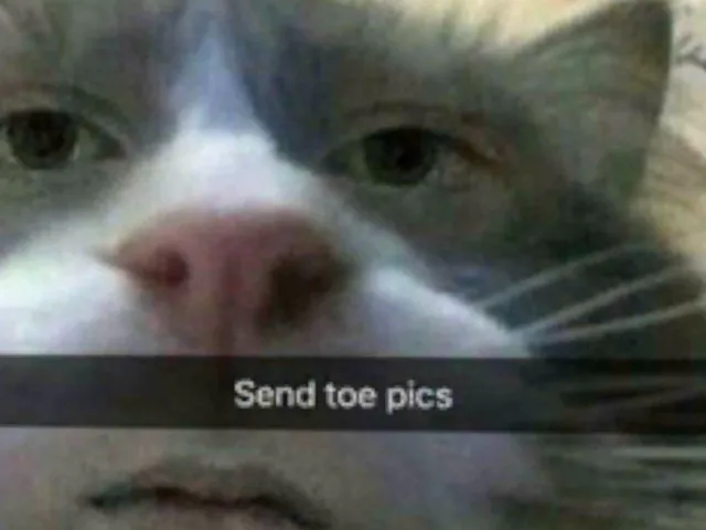 Bunnie and the bois box of hot locals in ur area over 374 Avatars?ǃ?ǃ?