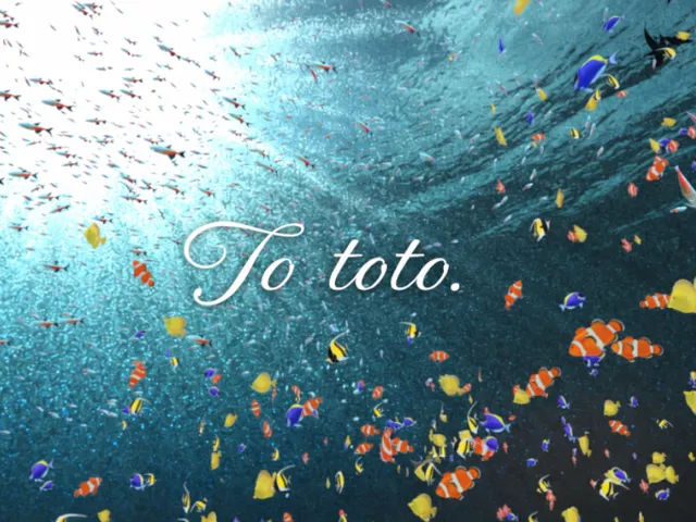 To toto ․