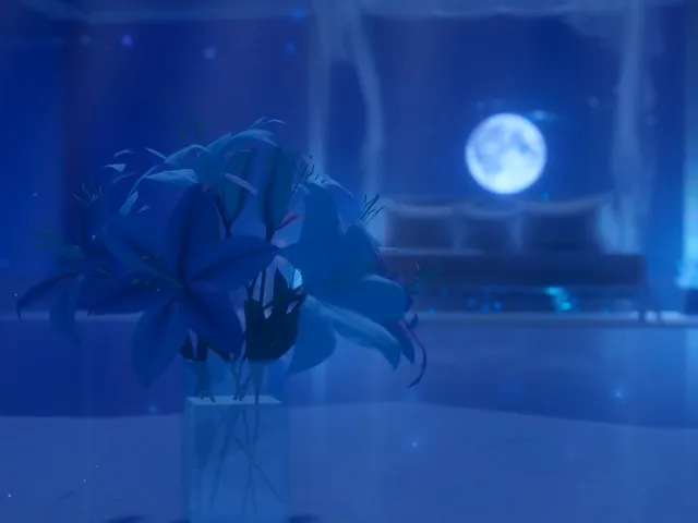 LiaLittleRoom