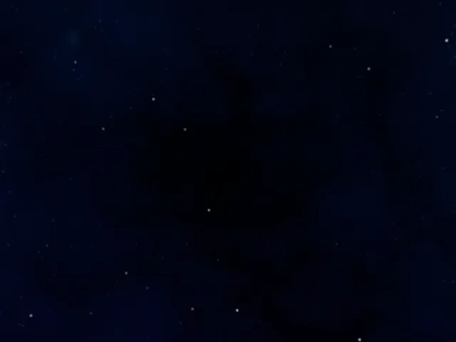 Forest night walk