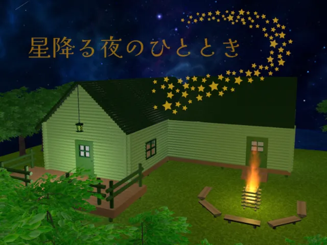 星降る夜のひととき